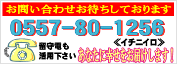 橋本美恵個展 お問合せお待ちしております
